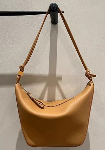 Adrienne Leather Hobo Bag Camel